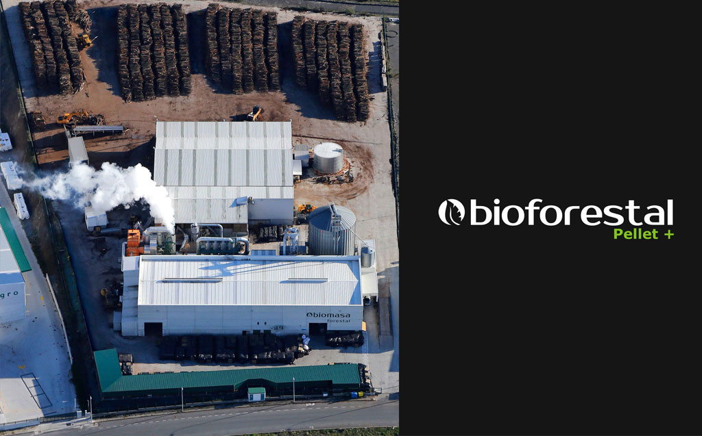 //www.bioforestal.es/wp-content/uploads/2015/08/01-portada.jpg