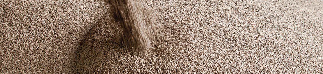 //www.bioforestal.es/wp-content/uploads/2015/08/fabrica-de-pellets-galcia.jpg