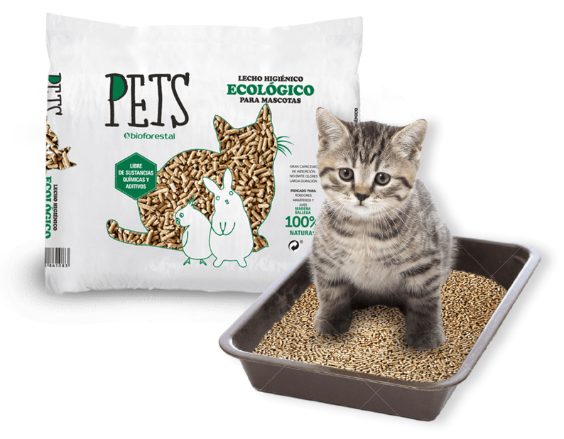 //www.bioforestal.es/wp-content/uploads/2017/10/pellets_cama_gato_edit-1.png