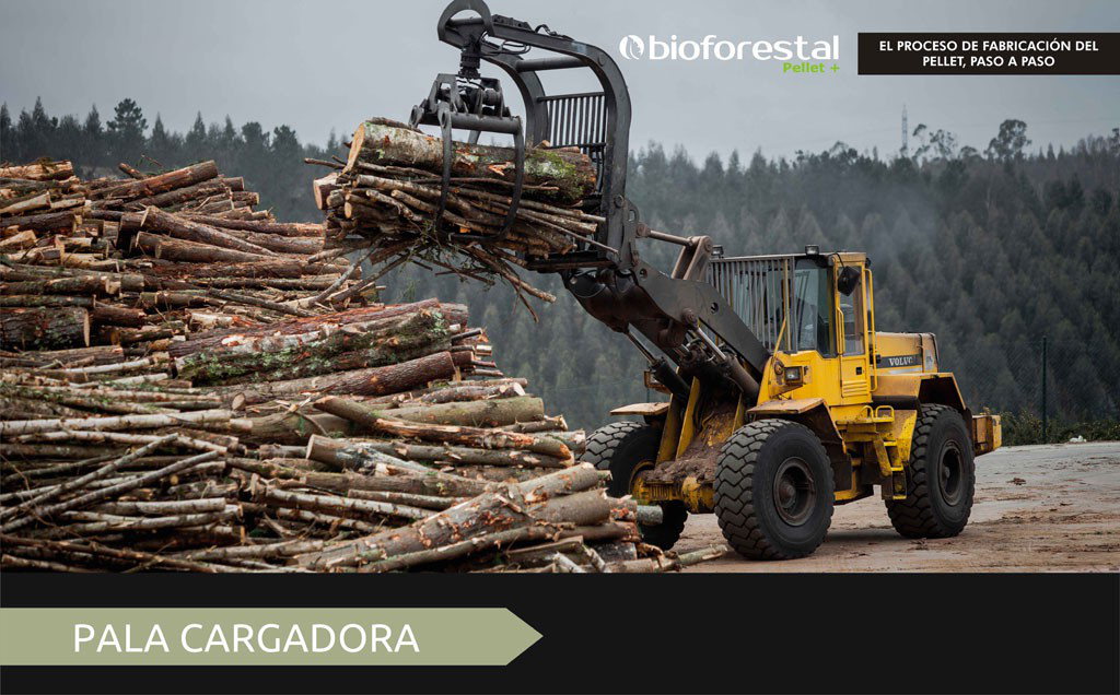 El proceso - Fábrica pellets madera Galicia España Biomasa Forestal