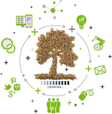 biomasa