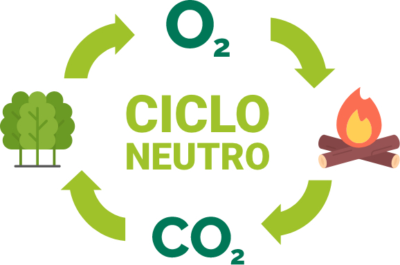 Ciclo